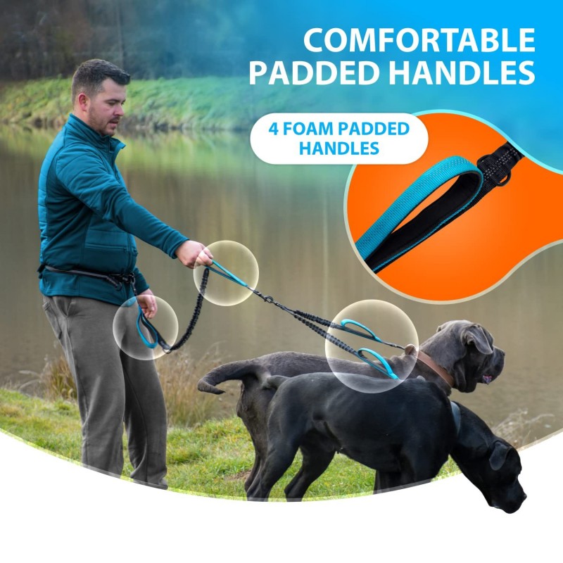 Hands-Free Dual Dog Running Leash | Paws of Oz