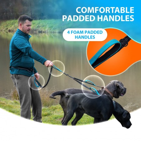 Hands-Free Dual Dog Running Leash | Paws of Oz