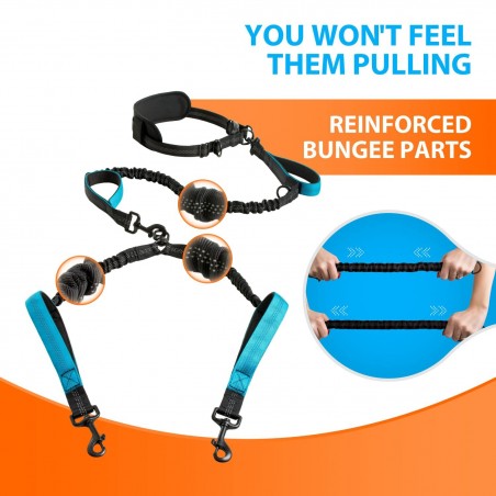 Hands-Free Dual Dog Running Leash | Paws of Oz