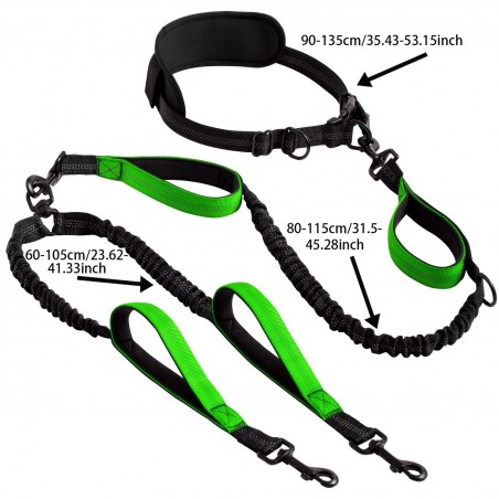 Hands-Free Dual Dog Running Leash | Paws of Oz