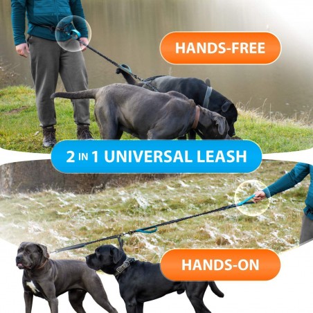 Hands-Free Dual Dog Running Leash | Paws of Oz