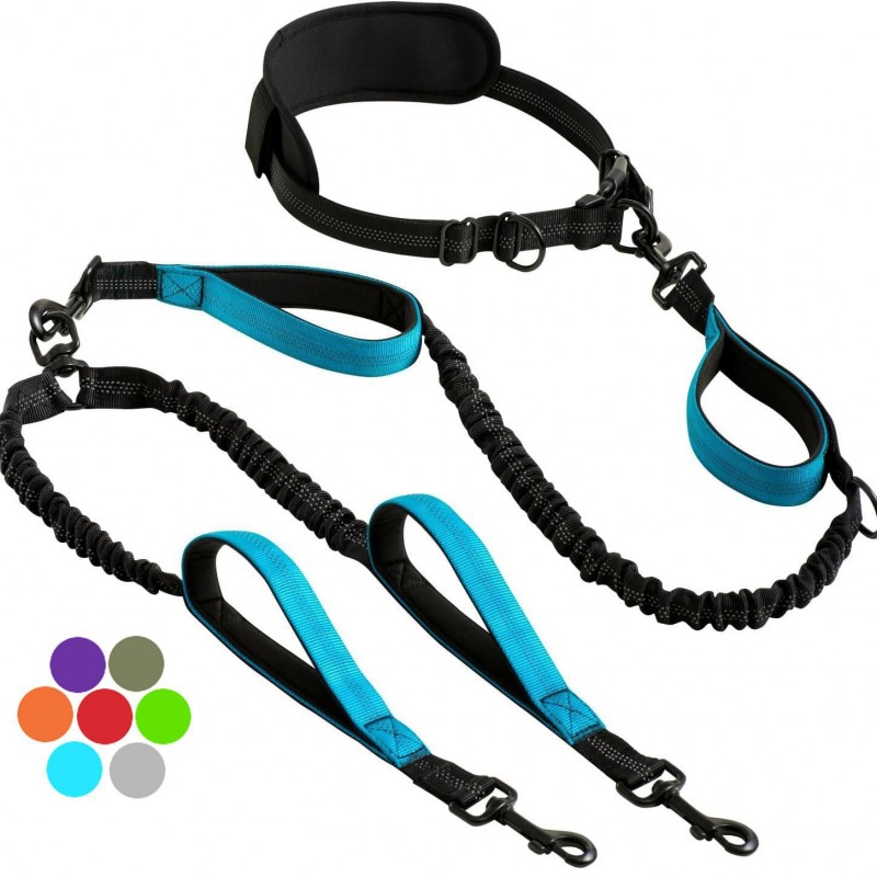 Hands-Free Dual Dog Running Leash | Paws of Oz