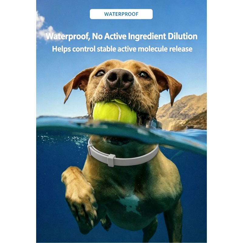 Flea & Tick Collar for Dogs & Cats | Paws of Oz
