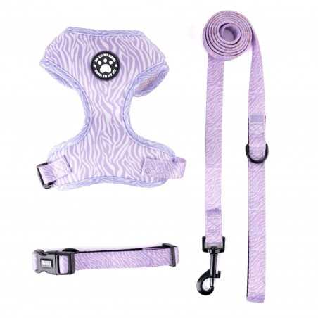 No-Pull Mesh Dog Harness & Leash Set | Paws of Oz