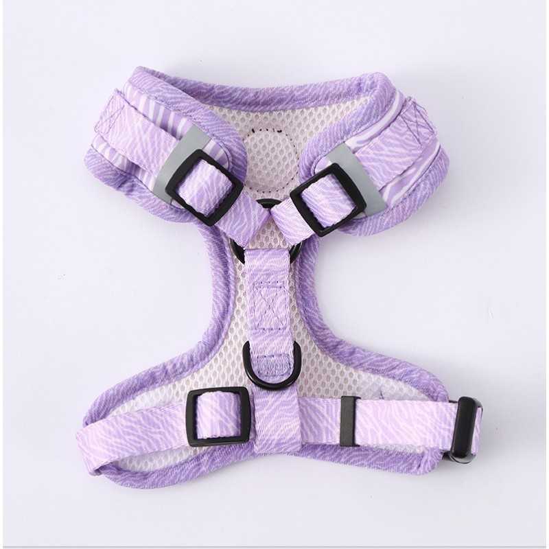 No-Pull Mesh Dog Harness & Leash Set | Paws of Oz