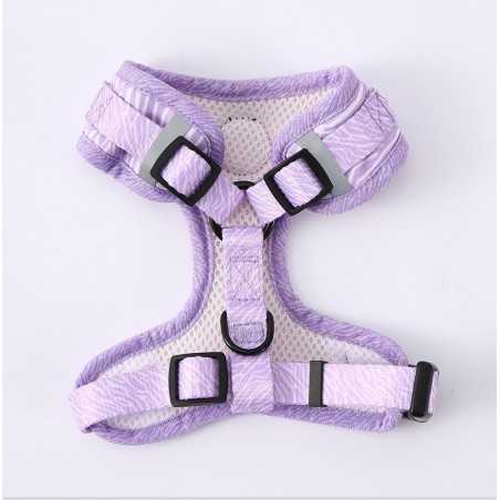 No-Pull Mesh Dog Harness & Leash Set | Paws of Oz