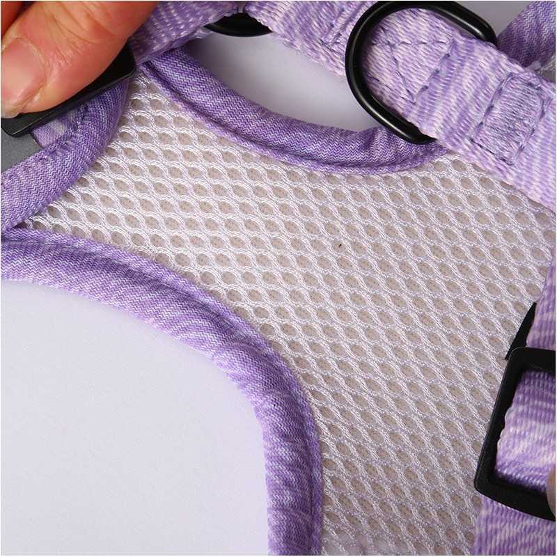 No-Pull Mesh Dog Harness & Leash Set | Paws of Oz