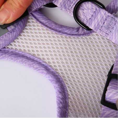 No-Pull Mesh Dog Harness & Leash Set | Paws of Oz