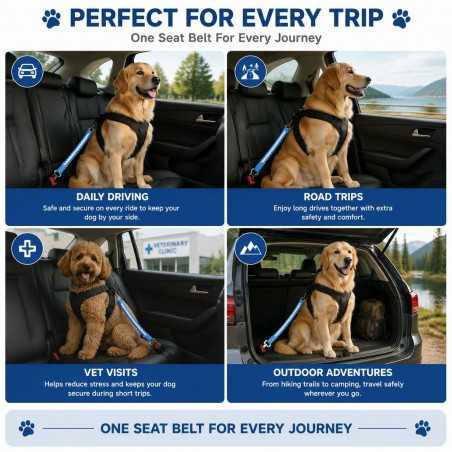 Hand-Woven Cotton Dog Seat Belt Tether | Paws of Oz