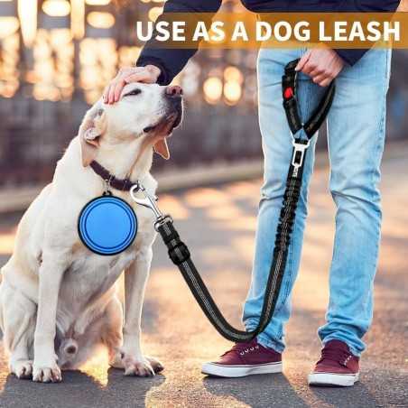 2-Pack Reflective Bungee Dog Seat Belt | Paws of Oz