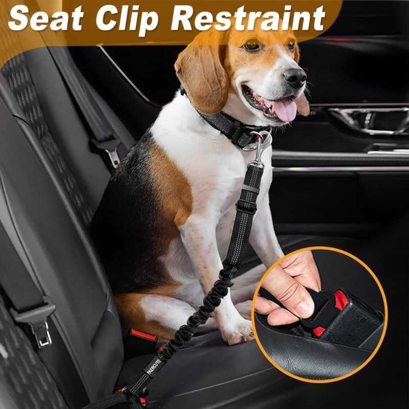 2-Pack Reflective Bungee Dog Seat Belt | Paws of Oz