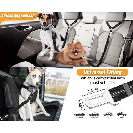 2-Pack Reflective Bungee Dog Seat Belt | Paws of Oz