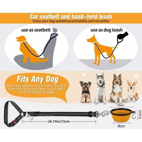 2-Pack Reflective Bungee Dog Seat Belt | Paws of Oz
