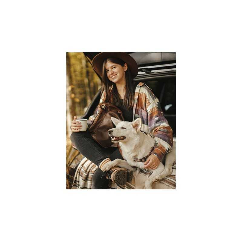 2-Pack Reflective Bungee Dog Seat Belt | Paws of Oz