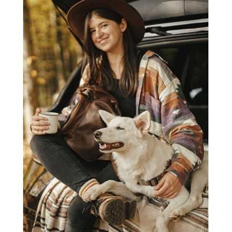 2-Pack Reflective Bungee Dog Seat Belt | Paws of Oz