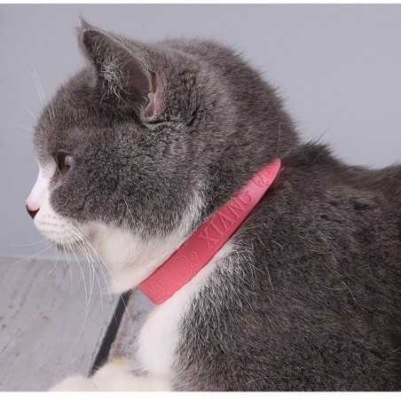 Natural Flea & Tick Collar 5-Pack | Paws of Oz