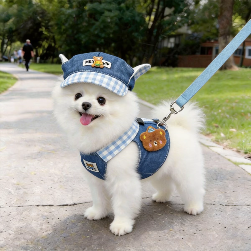 Denim Pet Harness & Leash Set | Paws of Oz