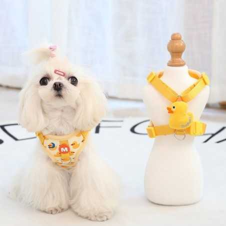 Escape-Proof Soft Pet Harness & Leash Set | Paws of Oz
