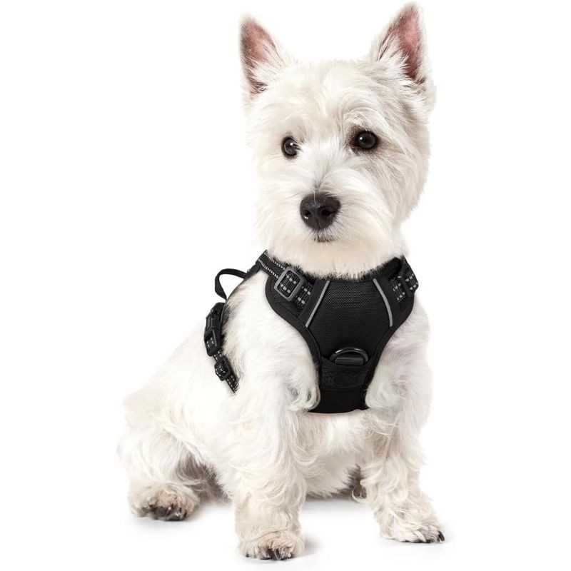 Rabbitgoo No-Pull Dog Harness, 2 Clips | Paws of Oz