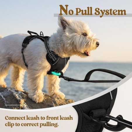 Rabbitgoo No-Pull Dog Harness, 2 Clips | Paws of Oz