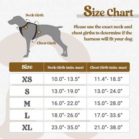 Rabbitgoo No-Pull Dog Harness, 2 Clips | Paws of Oz