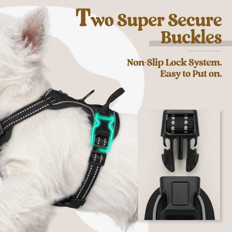 Rabbitgoo No-Pull Dog Harness, 2 Clips | Paws of Oz