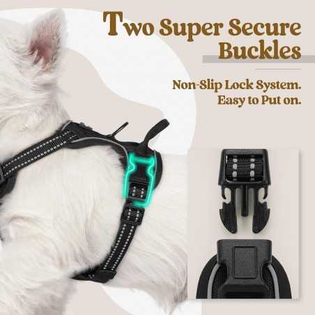 Rabbitgoo No-Pull Dog Harness, 2 Clips | Paws of Oz