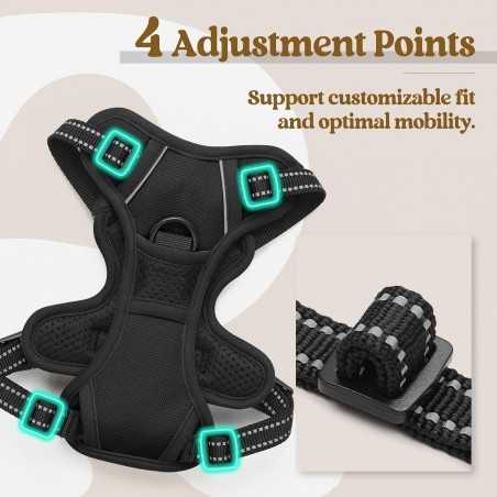 Rabbitgoo No-Pull Dog Harness, 2 Clips | Paws of Oz