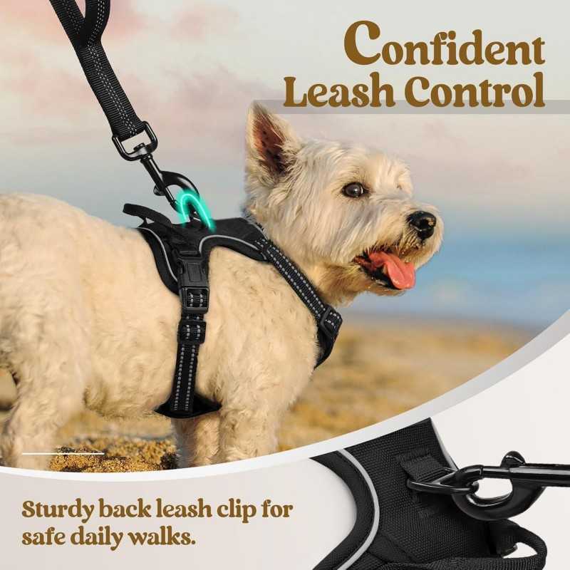 Rabbitgoo No-Pull Dog Harness, 2 Clips | Paws of Oz
