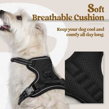 Rabbitgoo No-Pull Dog Harness, 2 Clips | Paws of Oz
