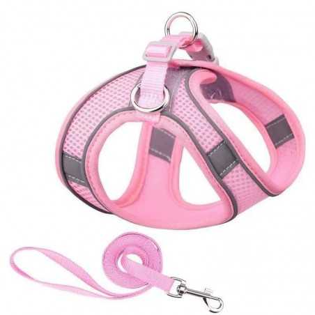 Step-In Breathable Mesh Dog Harness | Paws of Oz