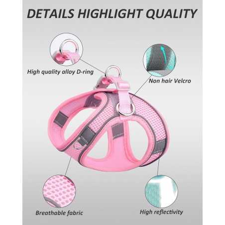 Step-In Breathable Mesh Dog Harness | Paws of Oz