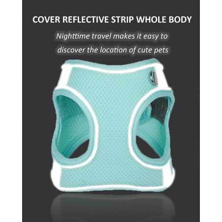 Step-In Breathable Mesh Dog Harness | Paws of Oz